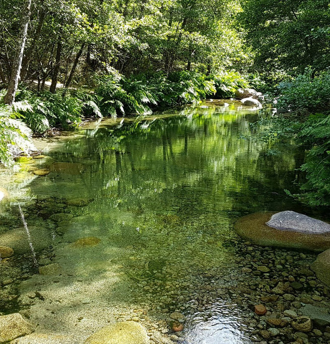 La rivière à proximité du camping