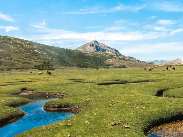 Le plateau du Coscionu